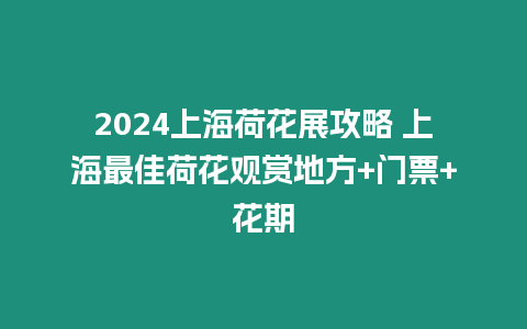 2024上海荷花展攻略 上海最佳荷花觀賞地方+門票+花期