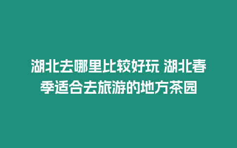 湖北去哪里比較好玩 湖北春季適合去旅游的地方茶園