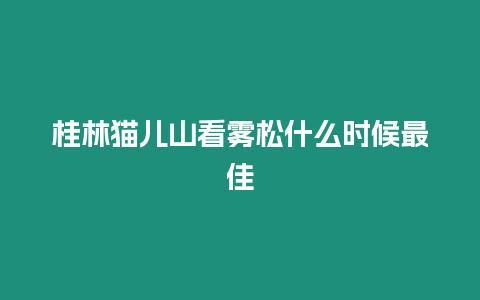 桂林貓兒山看霧松什么時(shí)候最佳