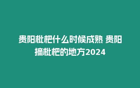 貴陽枇杷什么時候成熟 貴陽摘枇杷的地方2024