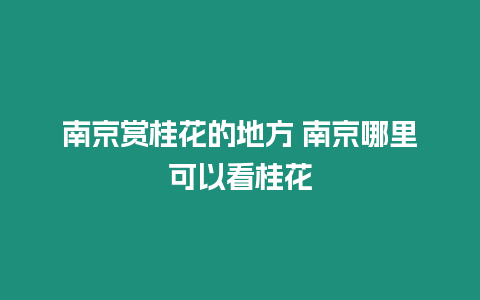 南京賞桂花的地方 南京哪里可以看桂花