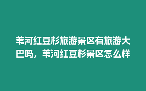 葦河紅豆杉旅游景區有旅游大巴嗎，葦河紅豆杉景區怎么樣