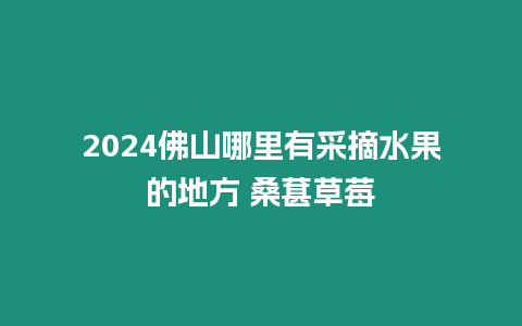 2024佛山哪里有采摘水果的地方 桑葚草莓