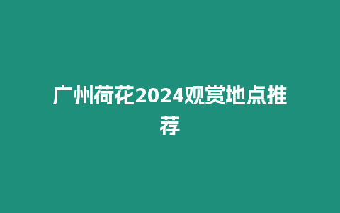 廣州荷花2024觀賞地點推薦