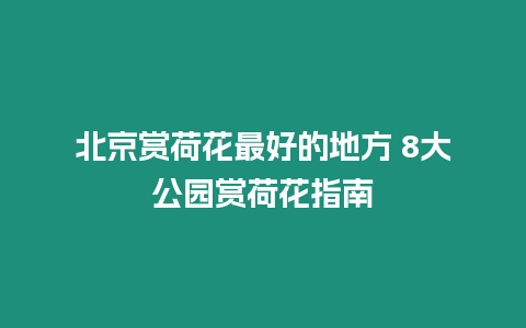 北京賞荷花最好的地方 8大公園賞荷花指南