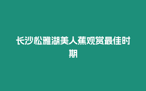 長沙松雅湖美人蕉觀賞最佳時期