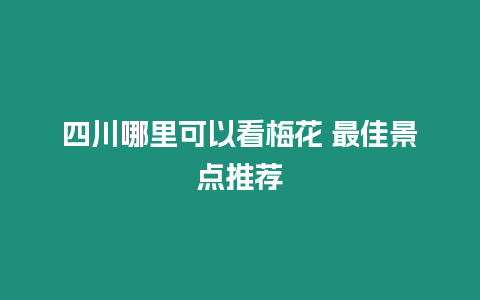 四川哪里可以看梅花 最佳景點推薦