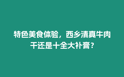 特色美食體驗，西鄉清真牛肉干還是十全大補膏？