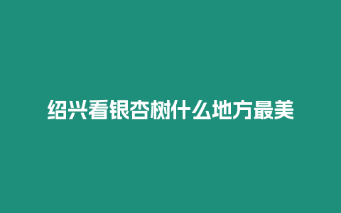 紹興看銀杏樹什么地方最美