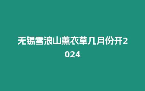 無錫雪浪山薰衣草幾月份開2024