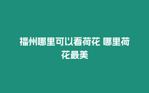 福州哪里可以看荷花 哪里荷花最美