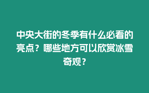 中央大街的冬季有什么必看的亮點？哪些地方可以欣賞冰雪奇觀？