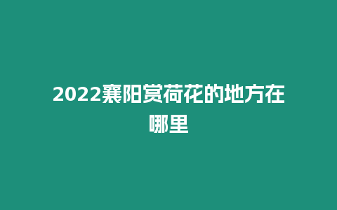 2022襄陽賞荷花的地方在哪里