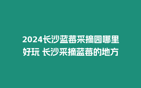 2024長(zhǎng)沙藍(lán)莓采摘園哪里好玩 長(zhǎng)沙采摘藍(lán)莓的地方