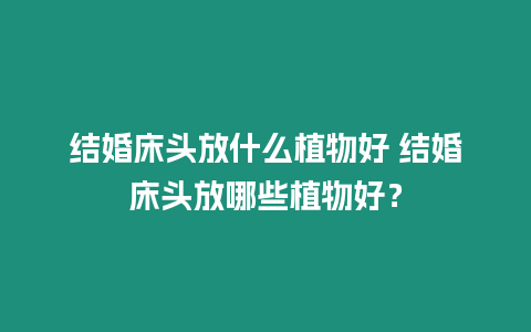 結(jié)婚床頭放什么植物好 結(jié)婚床頭放哪些植物好？