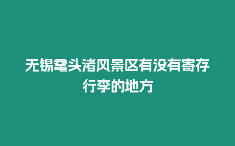 無錫黿頭渚風景區有沒有寄存行李的地方