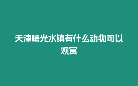 天津曙光水鎮有什么動物可以觀賞