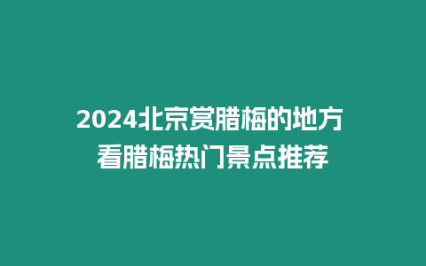 2024北京賞臘梅的地方 看臘梅熱門景點(diǎn)推薦