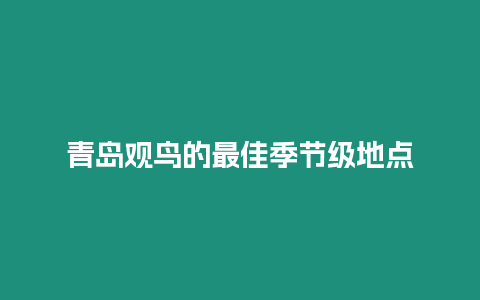 青島觀鳥的最佳季節級地點