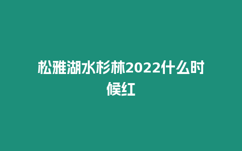 松雅湖水杉林2024什么時候紅