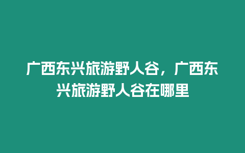 廣西東興旅游野人谷，廣西東興旅游野人谷在哪里