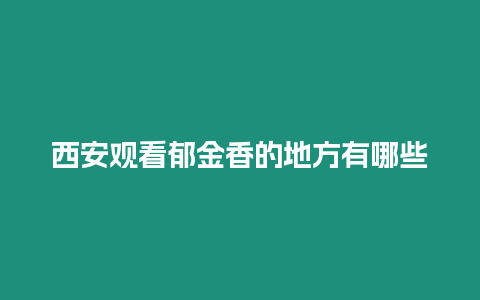 西安觀看郁金香的地方有哪些