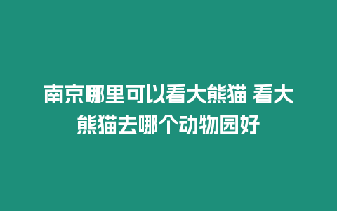 南京哪里可以看大熊貓 看大熊貓去哪個動物園好