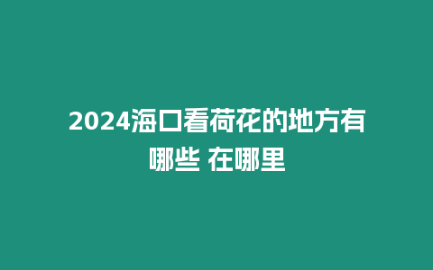 2024海口看荷花的地方有哪些 在哪里