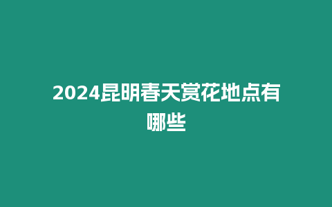 2024昆明春天賞花地點有哪些