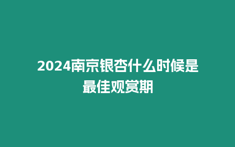 2024南京銀杏什么時候是最佳觀賞期