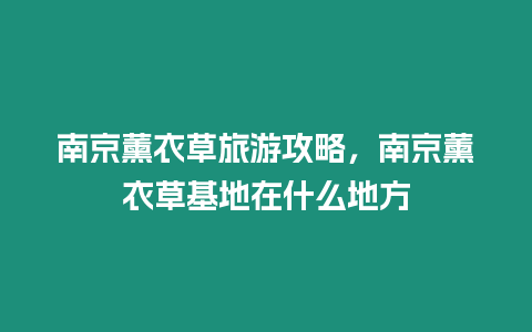 南京薰衣草旅游攻略，南京薰衣草基地在什么地方