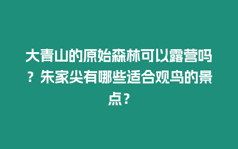 大青山的原始森林可以露營嗎？朱家尖有哪些適合觀鳥的景點？