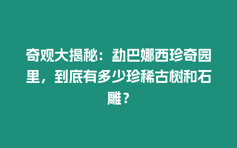 奇觀大揭秘：勐巴娜西珍奇園里，到底有多少珍稀古樹和石雕？