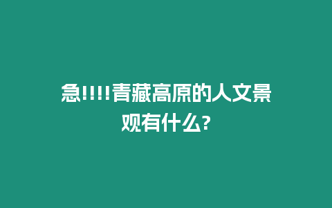 急!!!!青藏高原的人文景觀有什么?