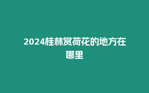 2024桂林賞荷花的地方在哪里