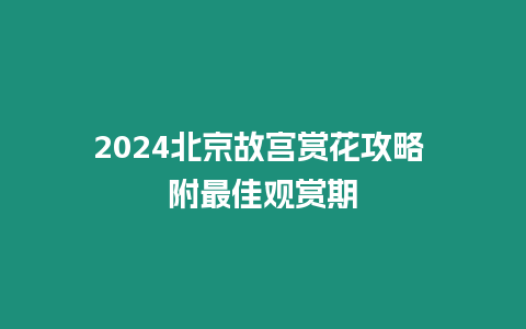 2024北京故宮賞花攻略 附最佳觀賞期