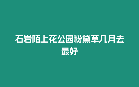 石巖陌上花公園粉黛草幾月去最好