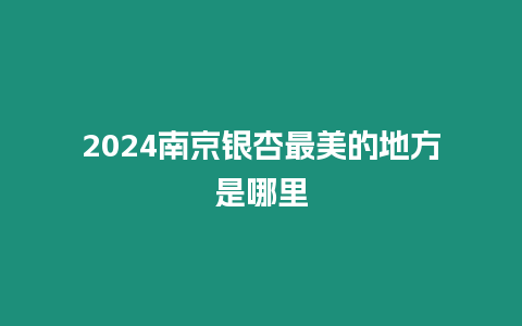 2024南京銀杏最美的地方是哪里