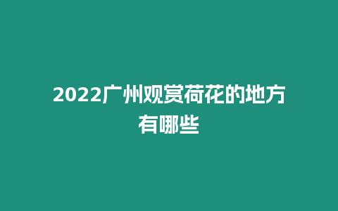 2022廣州觀賞荷花的地方有哪些