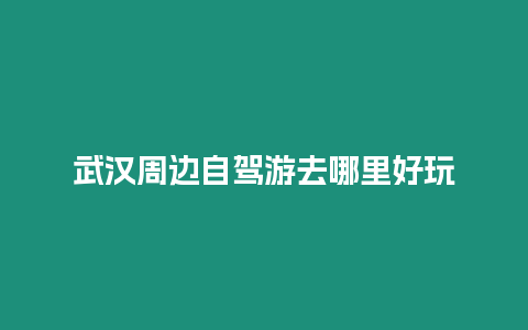 武漢周邊自駕游去哪里好玩