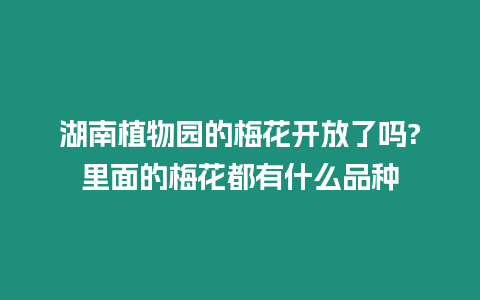 湖南植物園的梅花開放了嗎?里面的梅花都有什么品種