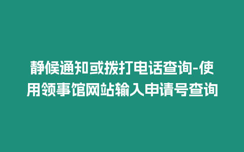 靜候通知或撥打電話查詢-使用領事館網站輸入申請號查詢