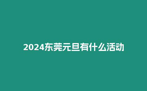 2024東莞元旦有什么活動