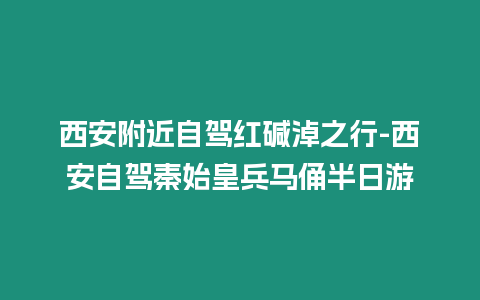 西安附近自駕紅堿淖之行-西安自駕秦始皇兵馬俑半日游