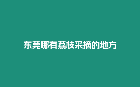 東莞哪有荔枝采摘的地方