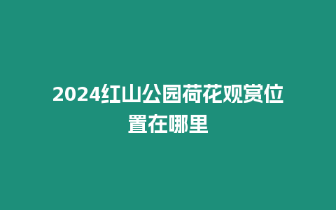 2024紅山公園荷花觀賞位置在哪里