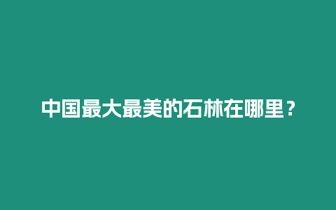 中國最大最美的石林在哪里？