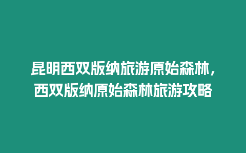 昆明西雙版納旅游原始森林，西雙版納原始森林旅游攻略