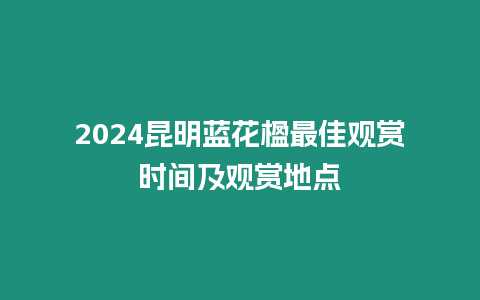 2024昆明藍花楹最佳觀賞時間及觀賞地點