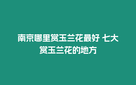 南京哪里賞玉蘭花最好 七大賞玉蘭花的地方